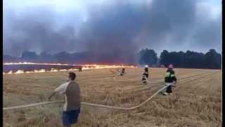 Pożar ścierniska - Krzyżkowice, 9.08.2015, godz. 20.00 (materiał od p. Marcina)