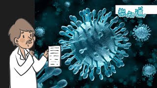 【科普】如何杀死一只丙肝病毒？What is Hepatitis C Virus?丨柴知道ChaiKnows