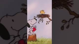 상남자 스누피 Snoopy #shorts