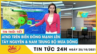 Áp thấp nhiệt đới mạnh thành bão giật cấp 8 hướng Khánh Hòa - Bình Thuận, Trung Bộ mưa to đến 30/10