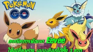 เทคนิคการพัฒนา Eevee  ให้ได้ทั้งสามธาตุตามต้องการ