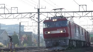 JR貨物　EH500-19牽引　3087ﾚと前後の貨物列車　府中本町　2014/11/13