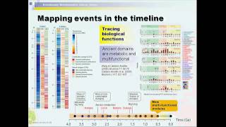 Gustavo Caetano-Anolles: The Phylogenomic Roots of Modern Biochemistry