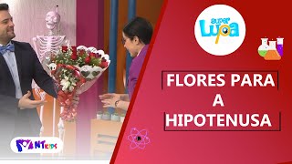 FLORES PARA A HIPOTENUSA - SUPER LUPA