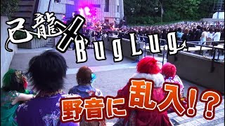 【己龍】BugLugの野音ライブに乱入！？奪われたままじゃ終わらない！