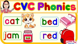 CVC Phonics | Words and Sentences | English Reading Practice for kids | Compilation