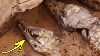 Top 10 Ancient Tombs That Revealed Unspeakable Curses