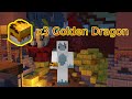 Buying ALL 3 GOLDEN DRAGON Eggs From The Dragon's Lair (Hypixel Skyblock)