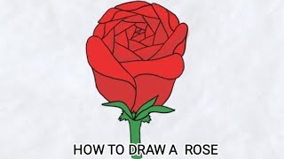 Make a beautiful 😍 ROSE 🌹🌹 using python codes 👨💻👨💻..