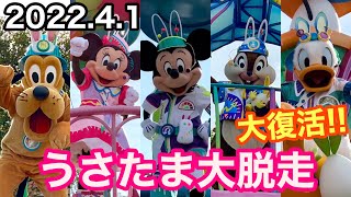 【初日】3年ぶりの復活‼️うさたま大脱走！【2022.4.1 TDL】