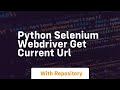 python selenium webdriver get current url