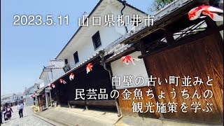 【視察】2023.5.11 山口県柳井市 白壁の古い街並みと金魚ちょうちんの観光施策を学ぶ