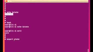 Linux Shell Variables (scripting), defining, referencing, exporting, etc.