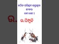 କଠିନ ପରିଶ୍ରମ କରୁଥିବା ଜୀବର ନାମ କଣ odia gk questions and answers