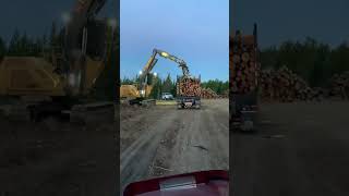 Loading Log truck!#logging #trucker ￼