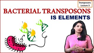 Bacterial Transposons I IS Elements I Composite and Non composite Transposons I