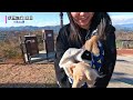 【ワンコと伊豆旅行 最終編 】伊豆旅行三日目の始まりは お宿から眺めるオーシャンビューでした ✨観光地巡りは伊豆でお馴染みの『愛犬の駅』とワンコと入れる遊園地『伊豆ぐらんぱる公園』と・・・あの神社