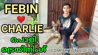 💥💥GERMAN SHEPHERD : dog training : ഫെബിന്‍ \u0026 ചാര്‍ളി : SPEAK : HIGH FIVE : Stay : LAZE MEDIA IMPACT