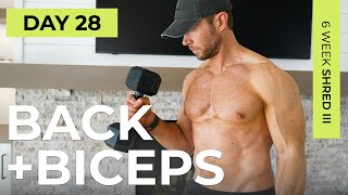 Day 28: 30 Min BUILD BACK & BICEPS at Home + Abs [Dumbbell Workout] // 6WS3