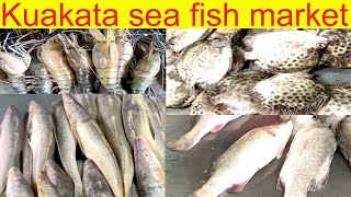 কুয়াকাটা সামুদ্রিক মাছ বাজার দাম অনেক সস্তা Kuakata sea fish market prices are much cheaper