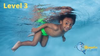 Level 3 - Ocaquatics Swim School
