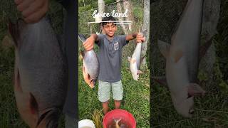 ഇന്ന് അവധിയല്ലേ, ചൂണ്ട  ഇടാൻ പോയാലോ 🎣🎏🐠 Fishing at Spice land #fishingvideo #viralvideo  #fishing