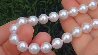 Estate AUCTION Natural Salt Water Japanese Akoya Pearl Necklace - A141046