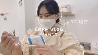 [ cafe vlog ] A day of the cafe president who baked too many croiffles and became a human croiffle