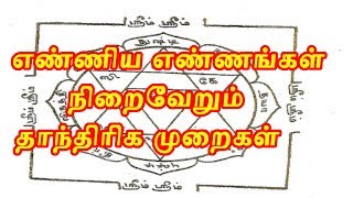 எண்ணிய எண்ணங்கள் நிறைவேறும் தாந்திரிக முறைகள் - Sattaimuni Nathar - Siththarkal - Sithargal