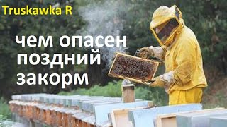 #Пчёлы. Какие последствия позднего закорма #пасеки.  Почему нужно успеть покормить пчёл вовремя.