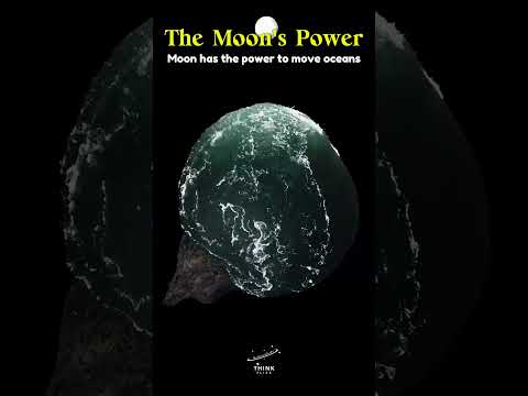 Is the Earth gravitationally attracted to the moon?