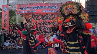 Kembalinya Barongan Cemara Jaranan Rogo Samboyo Putro