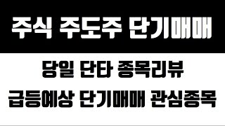 [주식시장 주도주 매매] 단타종목 리뷰 및 3월24일 단기매매 관심종목