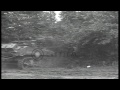 a us m5a1 stuart light tank with a hedge cutter runs through a hedge in cerisy la...hd stock footage