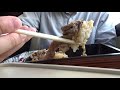 ４ 【名駅弁で行こうjr西日本編】 800円台で食べられる最高の牛丼駅弁！淡路屋あぶり牛とろ玉丼弁当を紹介