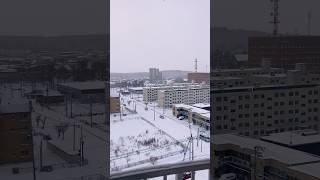 【北海道旭川市】大雪モードで激寒に変わりつつある旭川市☃️ 朝の気温-5°☀️ 2024年12月7日✨ #ninjya #shorts #旭川市 #朝イチ #hokkaido #北海道 #雪 #大雪