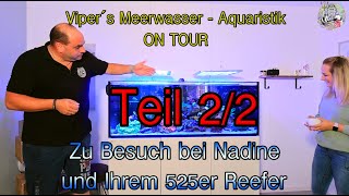 Viper´s Meerwasser Aquaristik ON TOUR  zu Gast bei Nadine Teil 2