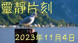 「靈靜片刻」2023年11月4日 (星期六）