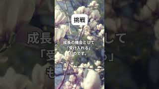 名言集 感謝 挑戦 目標 あなたも本気で人生変えたいと思っていませんか？習慣　やる気　本気で人生変えたいなら必見！成功の秘訣と名言集！自己成長の道を照らすYouTubeチャンネル