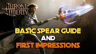 Basic Spear Guide and My Thoughts on the Weapon