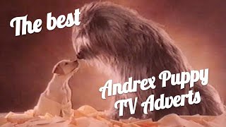 The best Andrex puppy TV adverts | Ultimate compilation for dog lovers