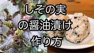 【しそ（紫蘇）の実の醤油漬けの作り方】　保存食　生活習慣病予防・アンチエイジング効果　I made soy sauce pickles with the fruits of the shiso