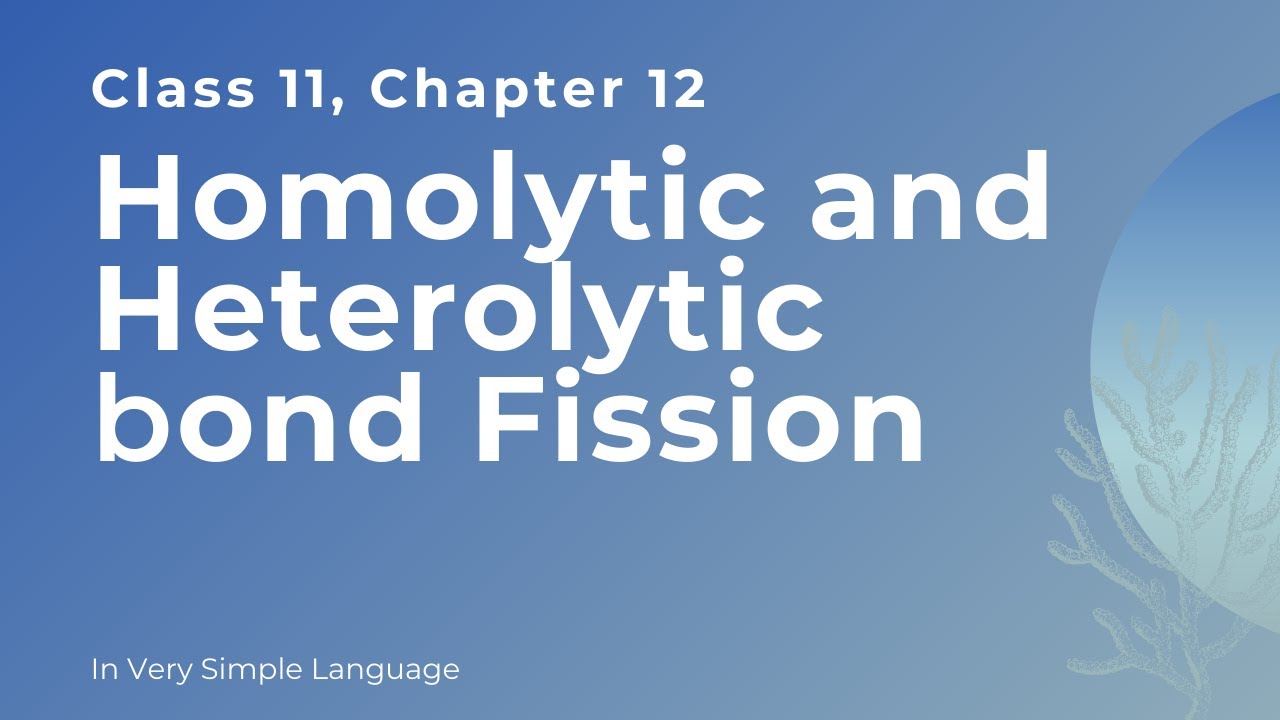 Homolytic And Heterolytic Bond Fission, Chapter 12, Class11 - YouTube