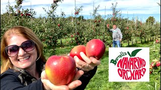 Is Navarino Orchards ultimate autumn awesomeness? | travel vlog