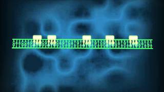 Genome Sequence Scanning from PATHOGENETIX