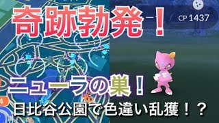 【ポケモンGO】激闘！ニューラの巣の日比谷公園で色違いを求め徘徊！【Pokémon GO】