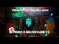 DJ PEDRO X MELODI KANE V2 VIRAL TIKTOK 2024 JEDAG JEDUG FULL BASS TERBARU