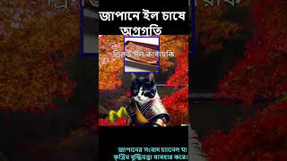 এটি ব্যয়বহুল, তবে এটি জাপানের একটি জনপ্রিয় খাবার...