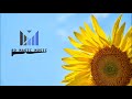 (8D Magic Music) Sunflower-Post Malone & Swae Lee (8D Audio) 1Hour Version