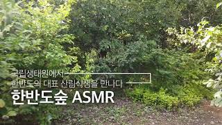 [국립생태원] 한반도 자연의 소리를 만나다! 한반도숲 ASMR